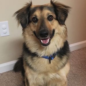 Meet your Posher, Posh